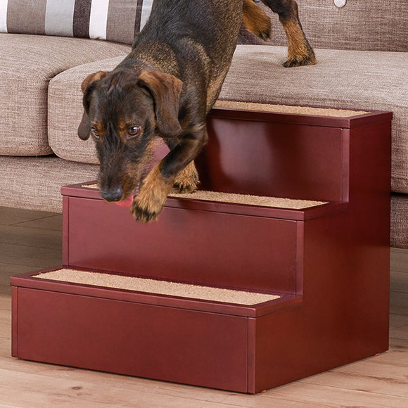 Guide To Buying The Best Dog Stairs For Your Dog Home Sweet Decor